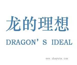 龙的理想