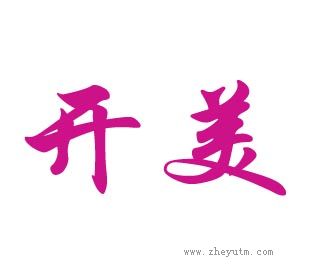 开美