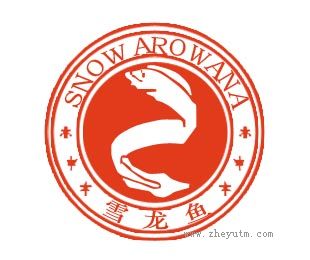 雪龙鱼