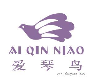 爱琴鸟