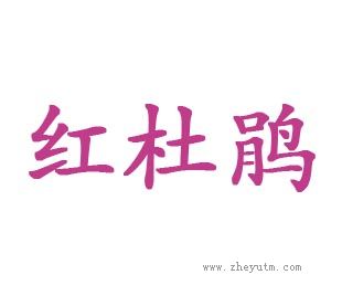 红杜鹃
