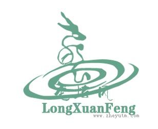 龙炫风