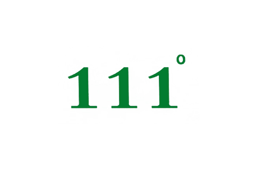 111&iexcl;