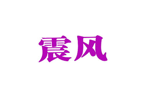 震风