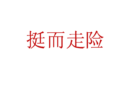 挺而走险