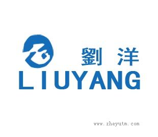 刘洋
