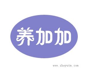 养加加