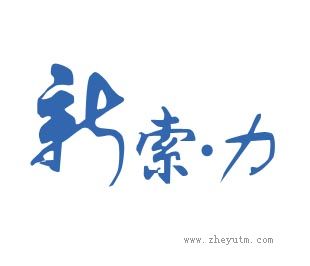 新索力