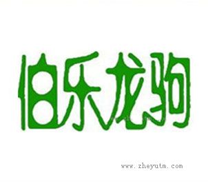 伯乐龙驹