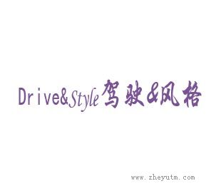 驾驶&风格