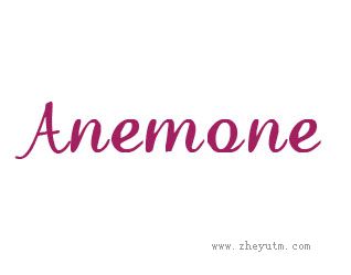 ANEMONE