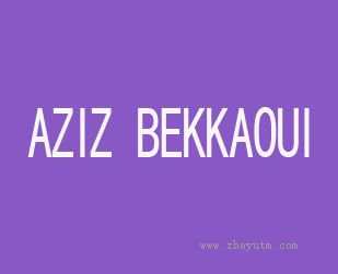 AZIZ BEKKAOUI