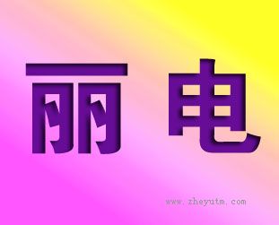 丽电
