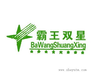 霸王双星