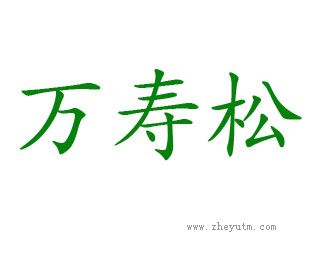 万寿松