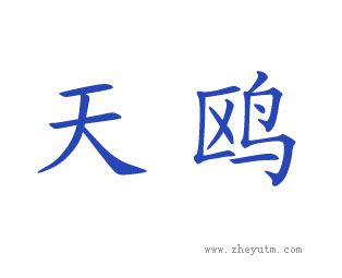 天鸥