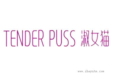 泰迪精灵TEDDY SPIRIT