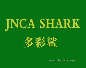 金彩鲨 JNCA AHARK