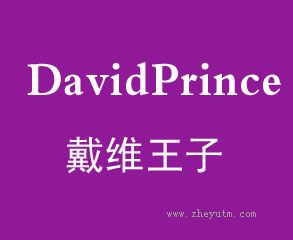 戴维王子 DAVID PRINCE