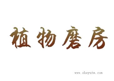 植物魔房