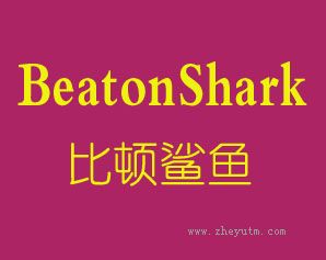 比顿鲨鱼 BEATONSHARK