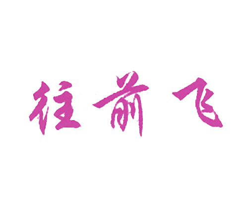 往前飞