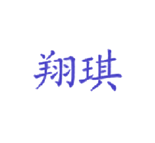 翔琪