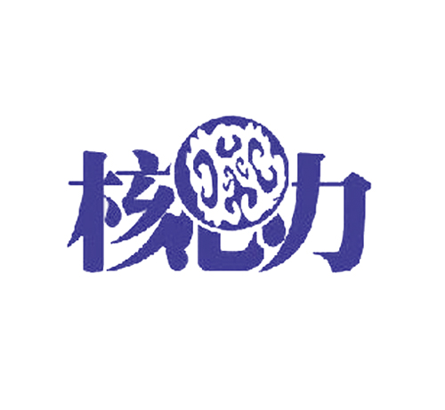  核力