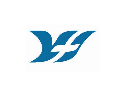 Y 1