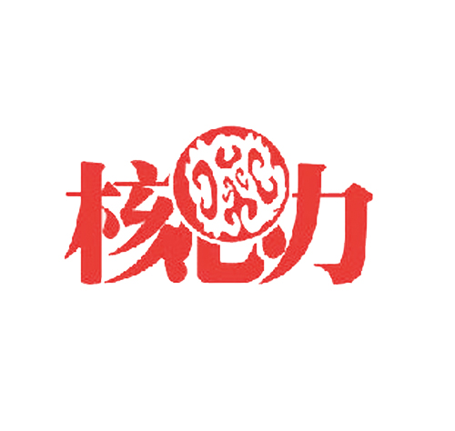 核力
