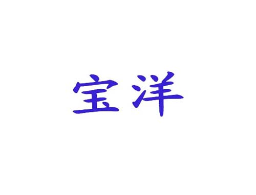 宝洋