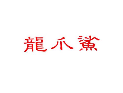 龙爪鲨