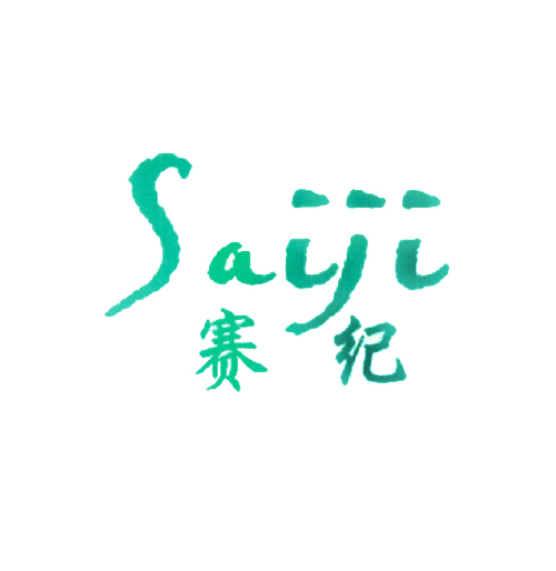 赛纪