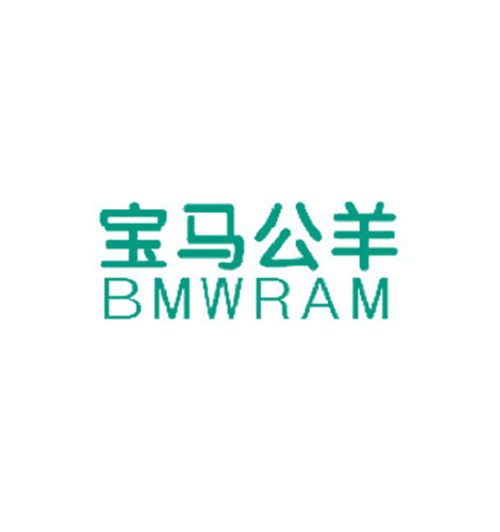 宝马公羊 BMWRAM