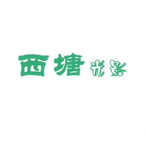 西塘光影