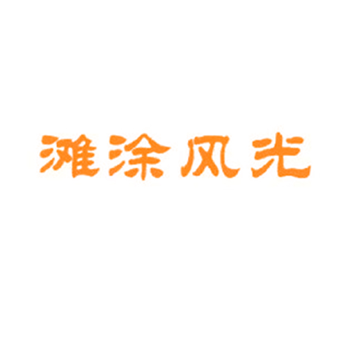 滩涂风光