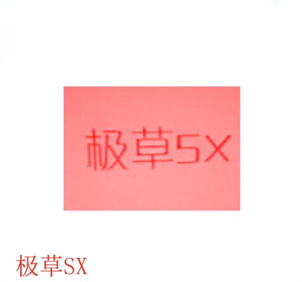 极草5X