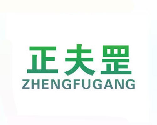 夫正罡