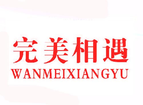完美相遇
