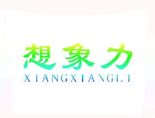 想象力