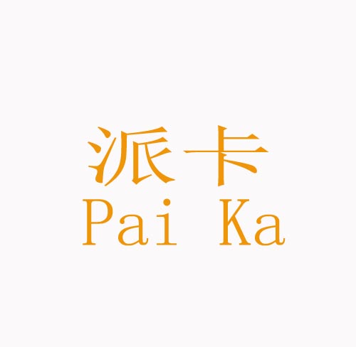 派卡PaiKa