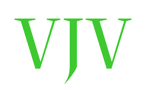 VJV