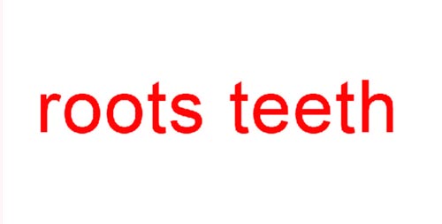 roots teeth