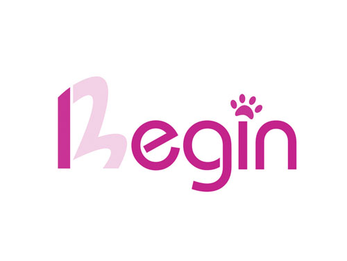BEGIN