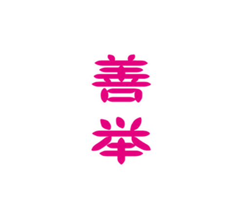 善举