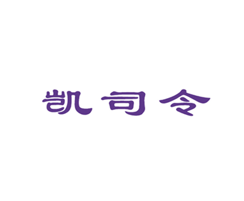 凯司令