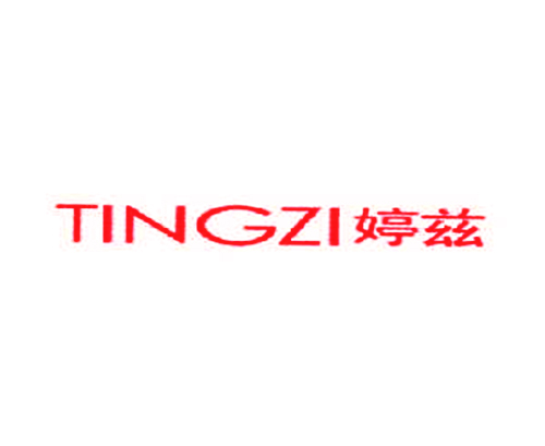 婷兹