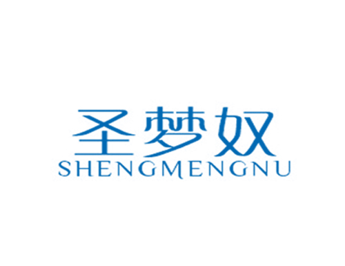 圣梦奴