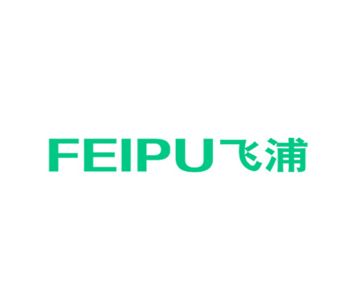 飞浦